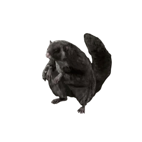 Japanese Flying Squirrel
